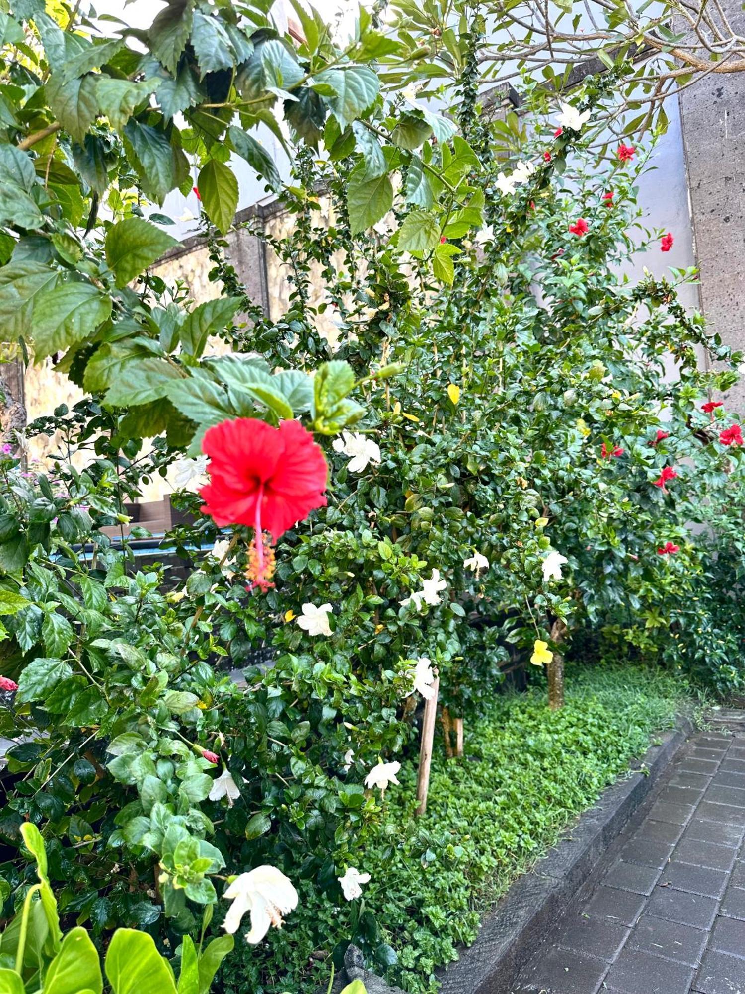 Radha Bali Hotel Kuta Lombok Exteriér fotografie