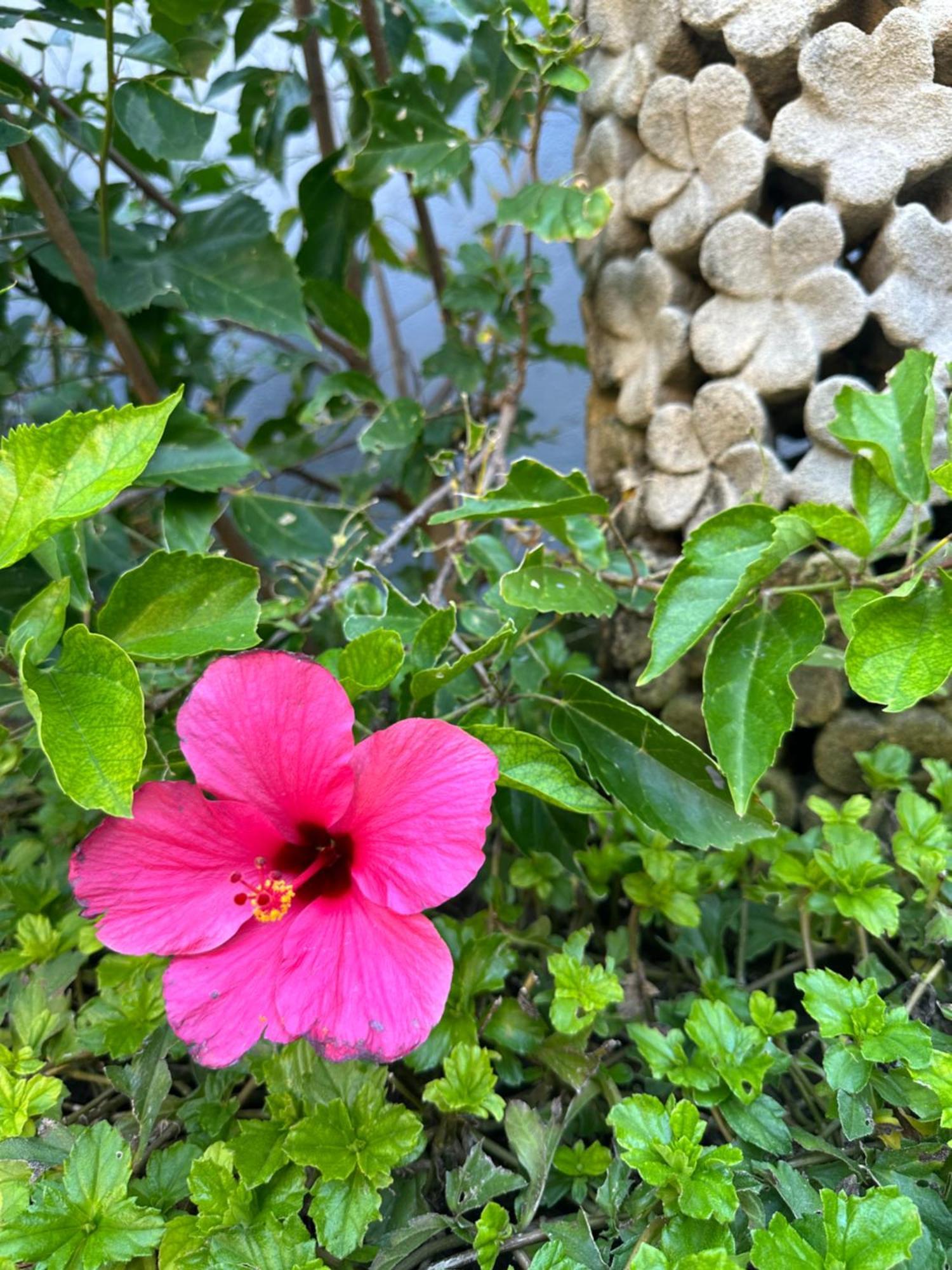 Radha Bali Hotel Kuta Lombok Exteriér fotografie