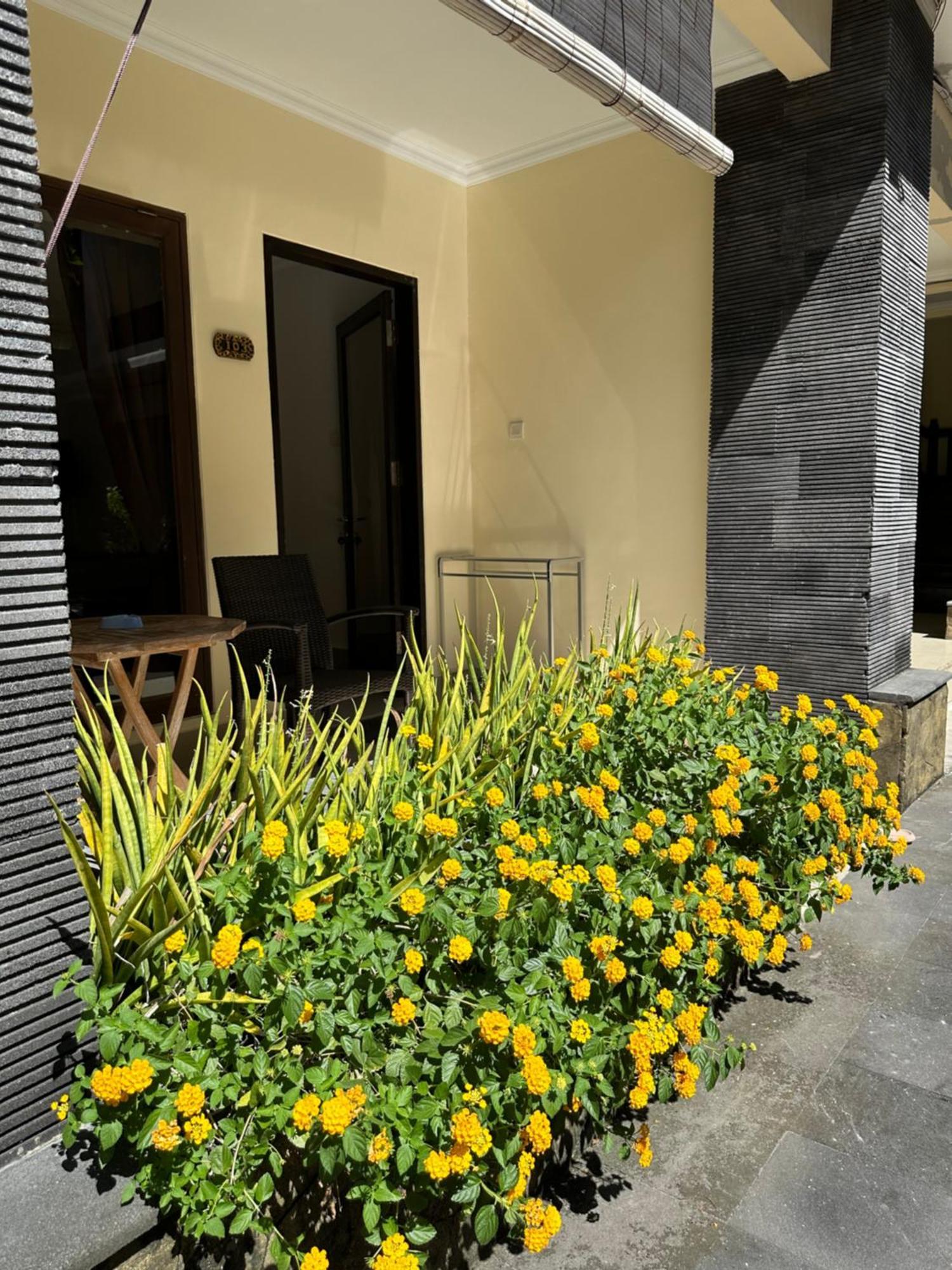 Radha Bali Hotel Kuta Lombok Exteriér fotografie